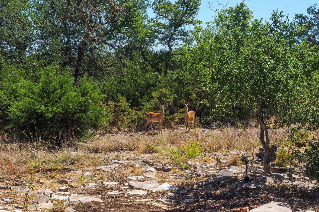 Cozy Kerrville Guest Cottage Near Guadalupe River! Екстериор снимка